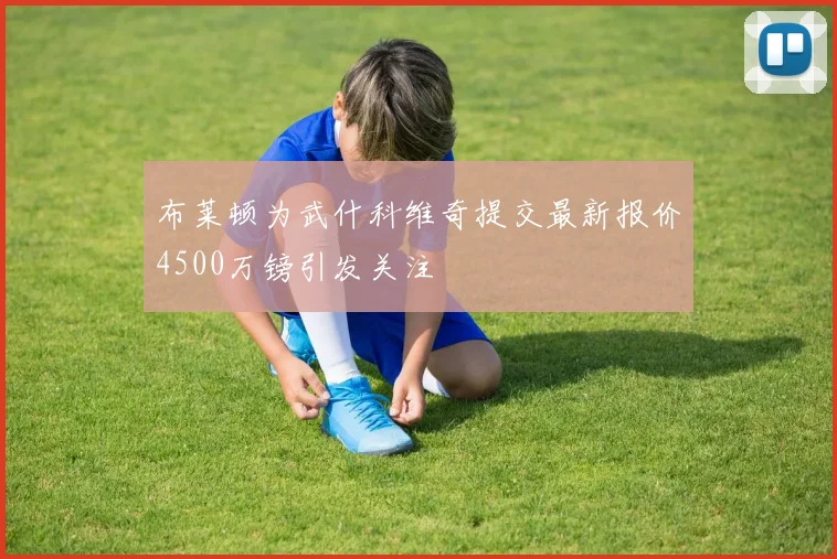 布莱顿为武什科维奇提交最新报价4500万镑引发关注